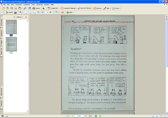 Split PDF In the Middle (In Half), the 100% faster way