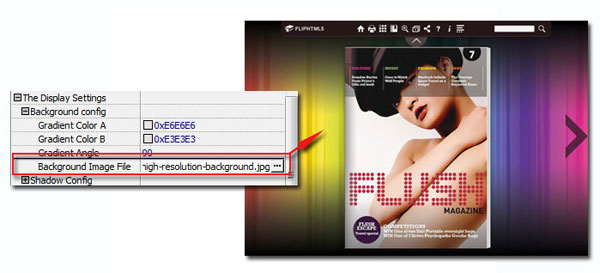 How to add brand info to Page Flip book