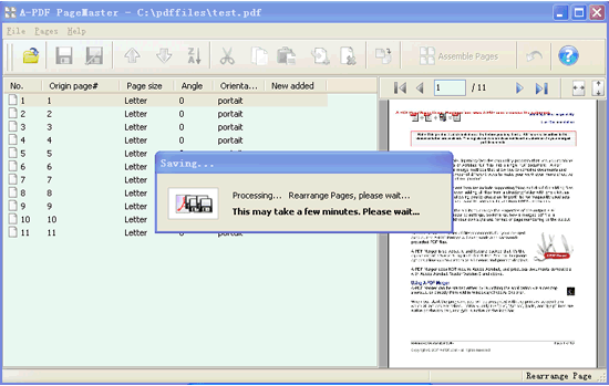 screenshot of A-PDF Page Master