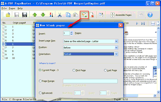 screenshot of A-PDF Page Master