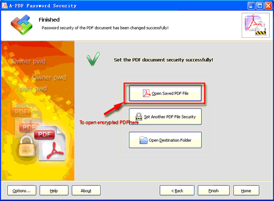 screenshot of A-PDF Password Security