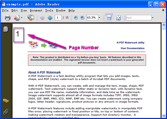screenshot of A-PDF Watermark tutorial