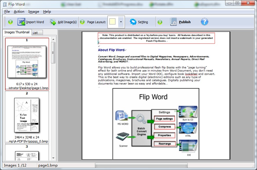 Convert online flash flip book (Page turning effect) from MS WORD