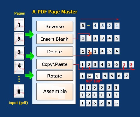 1, PDF