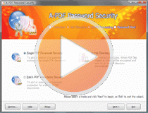 screen shot of A-PDF Password Security