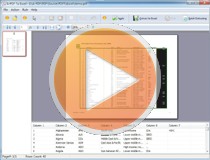 small screenshot of A-PDF To Excel